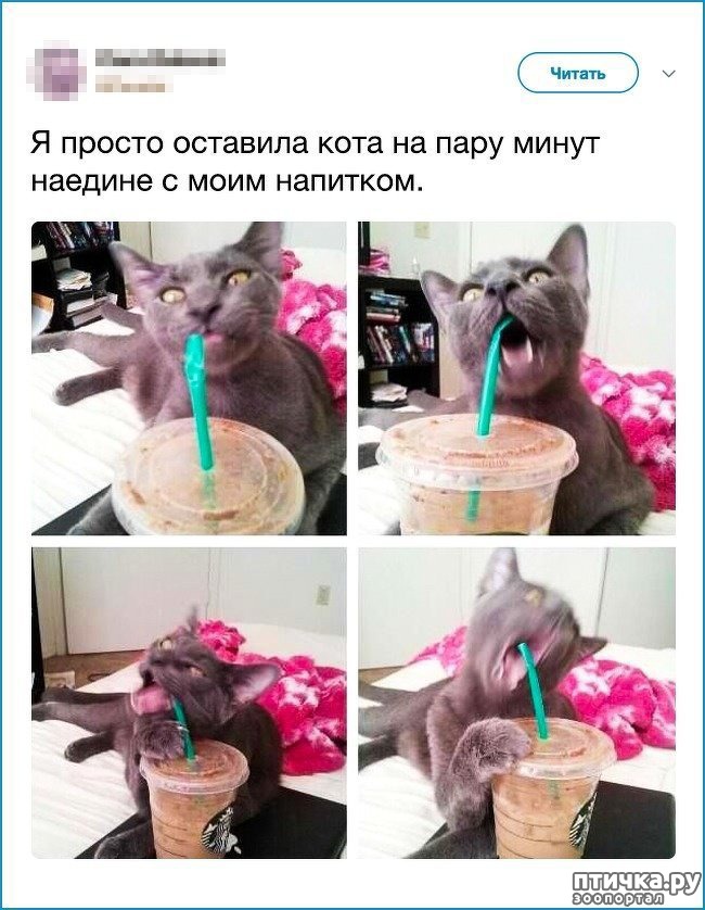 ���� 2: ��� ����������