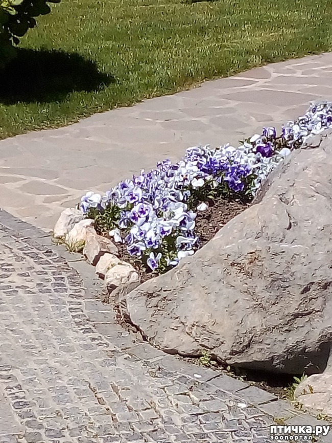 ���� 5: �������� �������!