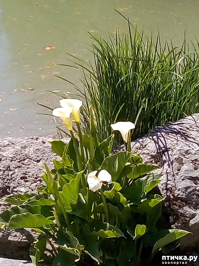 ���� 7: �������� �������!