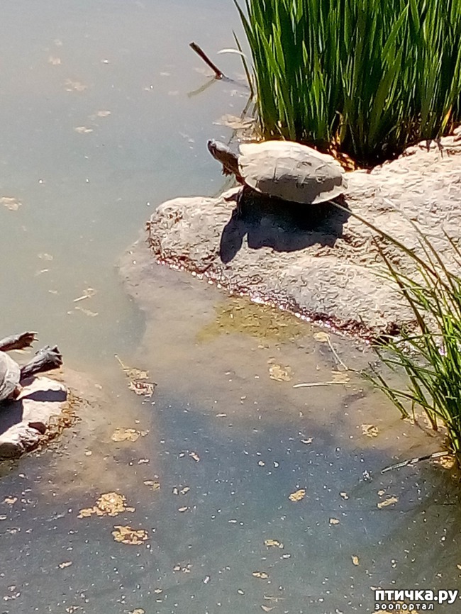 ���� 8: �������� �������!