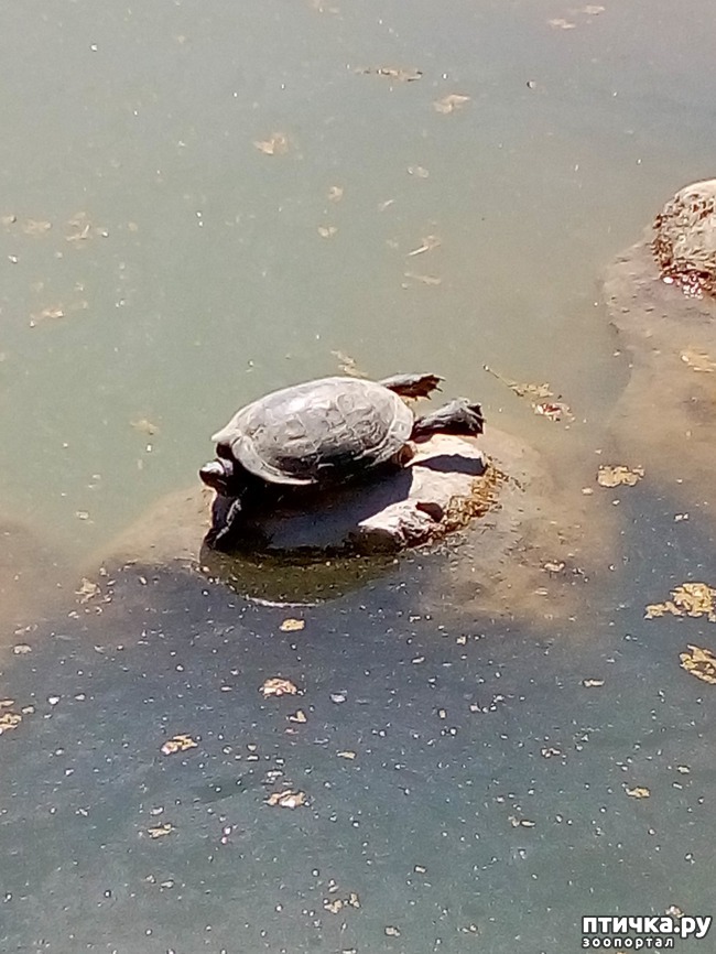 ���� 10: �������� �������!