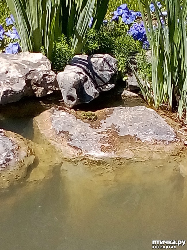 ���� 13: �������� �������!