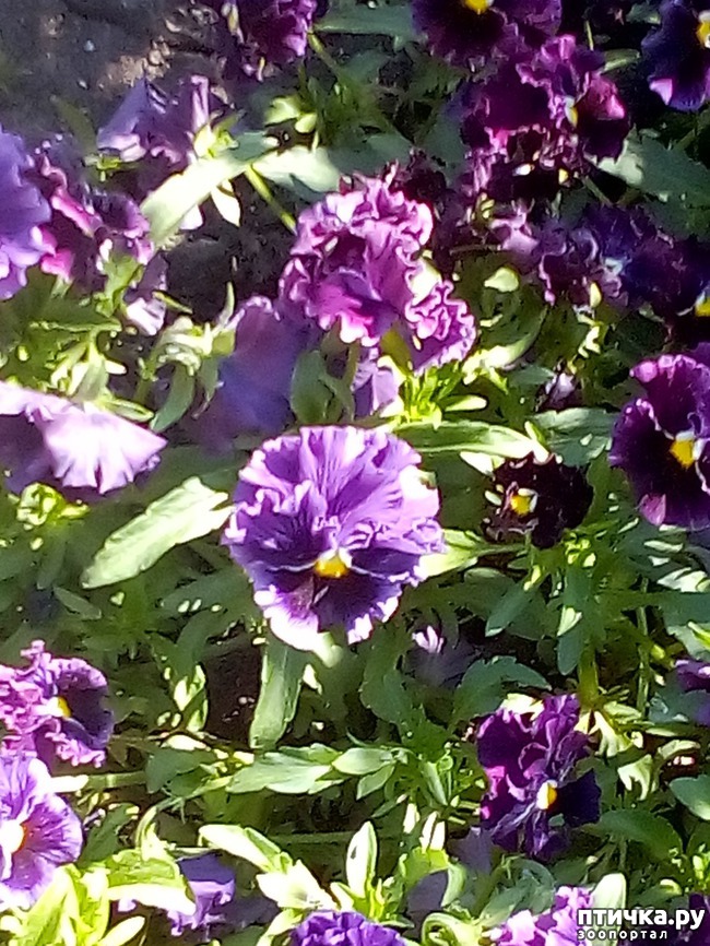 ���� 11: �������� �������!