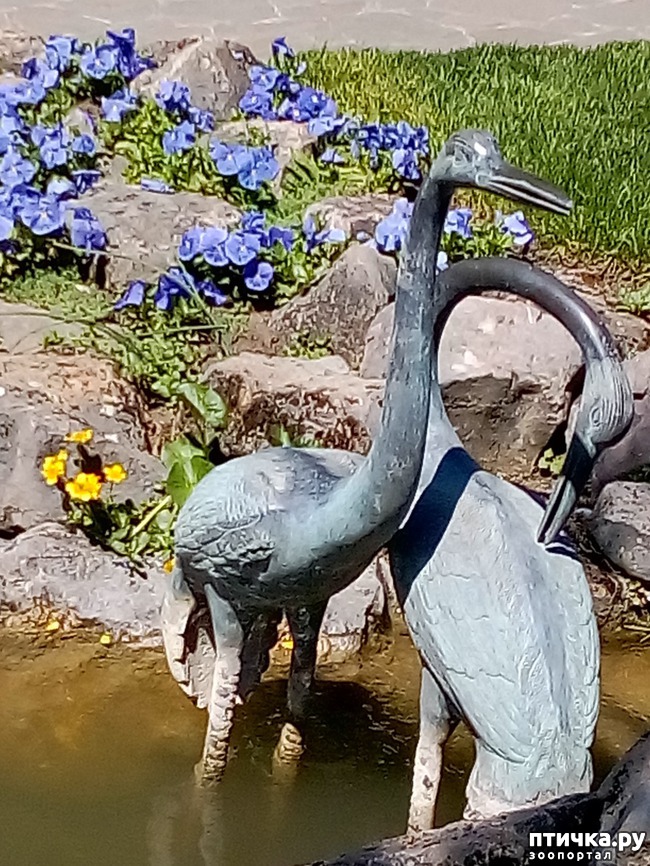 ���� 12: �������� �������!