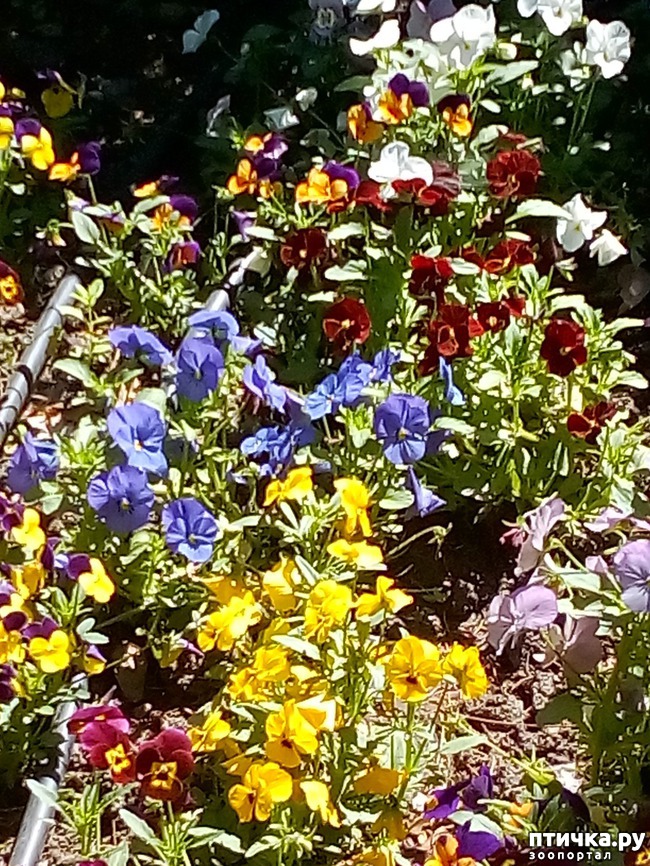 ���� 15: �������� �������!