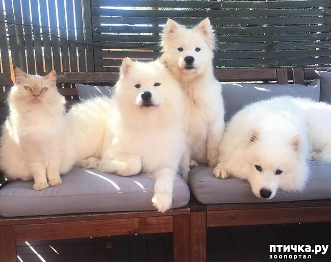 ���� 3: ���������� ��������, ������� �������� ��� ����������)))