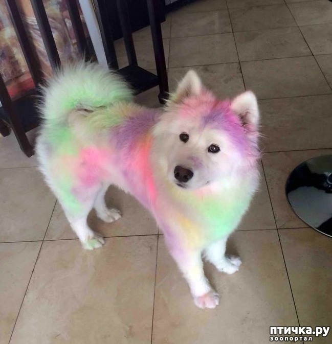 ���� 4: ���������� ��������, ������� �������� ��� ����������)))