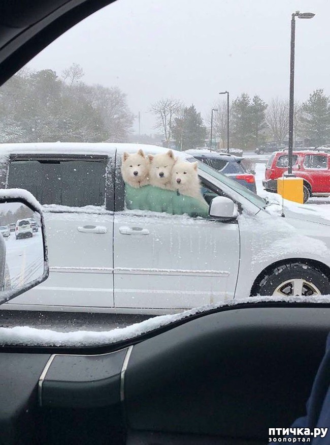 ���� 6: ���������� ��������, ������� �������� ��� ����������)))