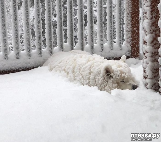 ���� 7: ���������� ��������, ������� �������� ��� ����������)))