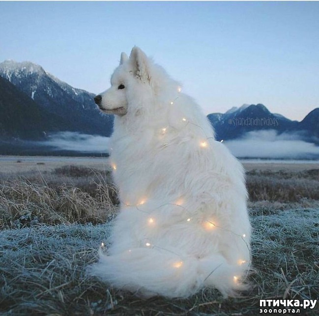 ���� 8: ���������� ��������, ������� �������� ��� ����������)))