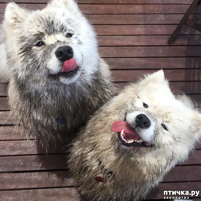 ���� 13: ���������� ��������, ������� �������� ��� ����������)))