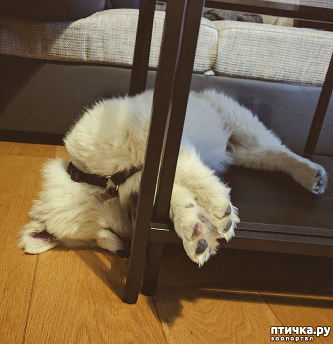 ���� 14: ���������� ��������, ������� �������� ��� ����������)))