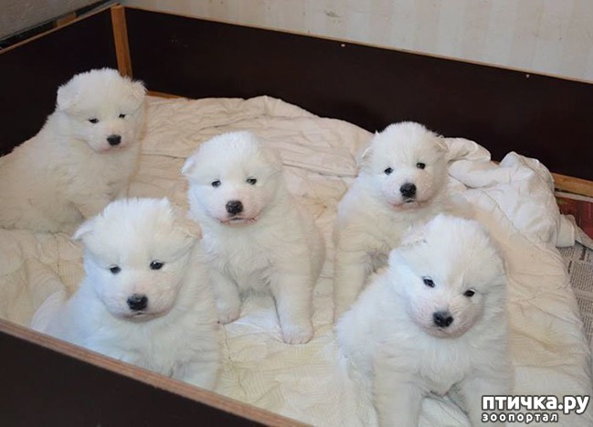 ���� 15: ���������� ��������, ������� �������� ��� ����������)))