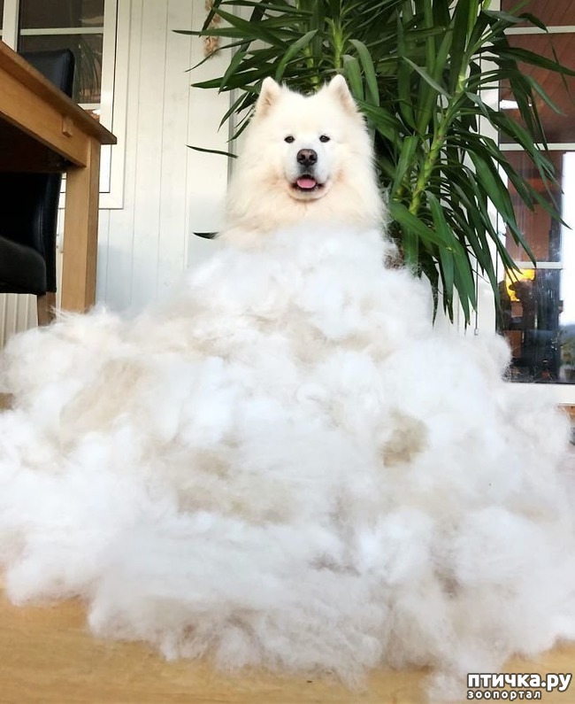 ���� 16: ���������� ��������, ������� �������� ��� ����������)))