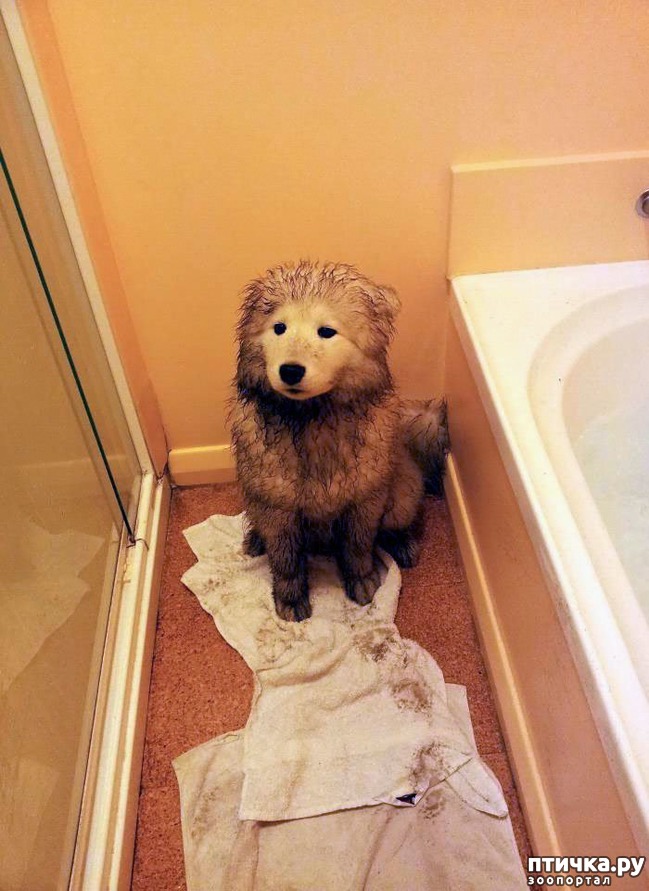 ���� 17: ���������� ��������, ������� �������� ��� ����������)))