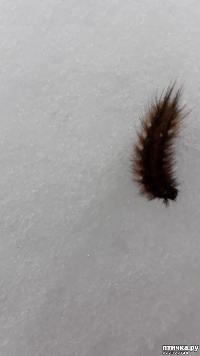 ���� 16: ������� ����������