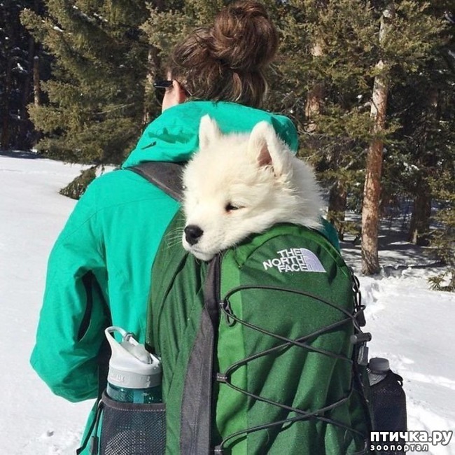 ���� 20: ���������� ��������, ������� �������� ��� ����������)))