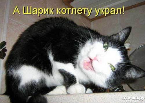 ���� 2: �����������: ������ ���!