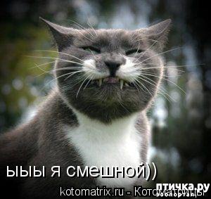 ���� 3: �����������: ������ ���!