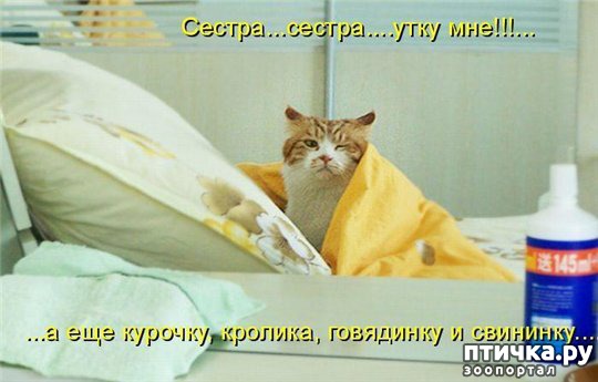 ���� 4: �����������: ������ ���!