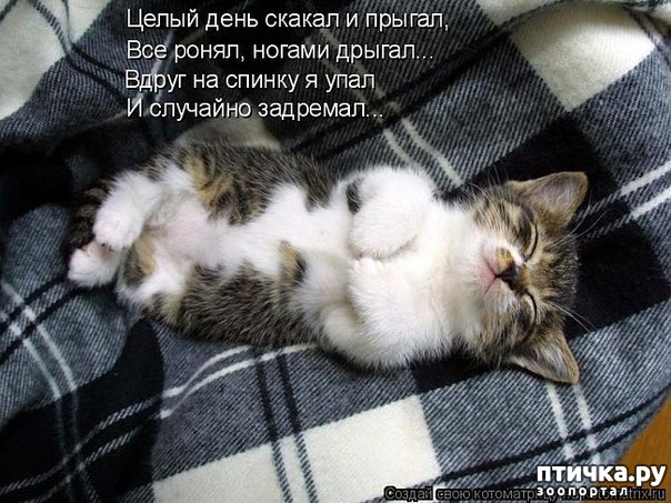 ���� 5: �����������: ������ ���!