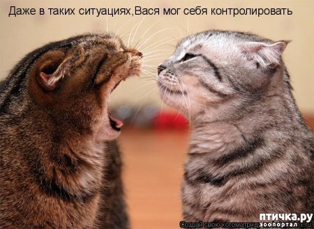 ���� 6: �����������: ������ ���!