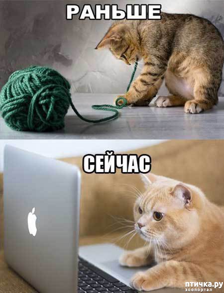 ���� 8: �����������: ������ ���!