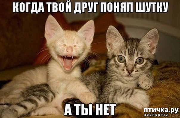 ���� 9: �����������: ������ ���!