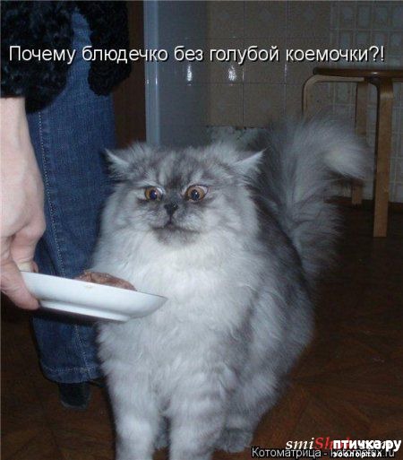 ���� 11: �����������: ������ ���!