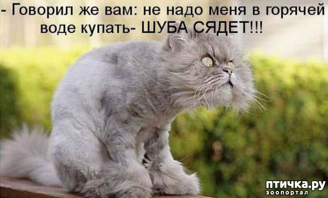 ���� 12: �����������: ������ ���!