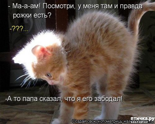 ���� 13: �����������: ������ ���!