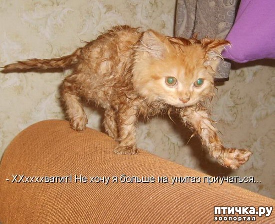 ���� 14: �����������: ������ ���!