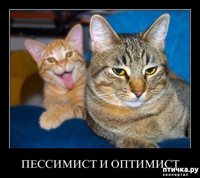 ���� 15: �����������: ������ ���!