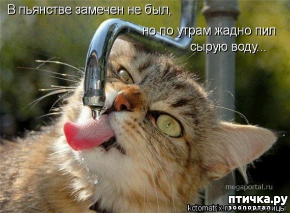 ���� 16: �����������: ������ ���!