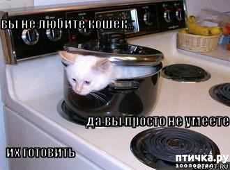 ���� 17: �����������: ������ ���!