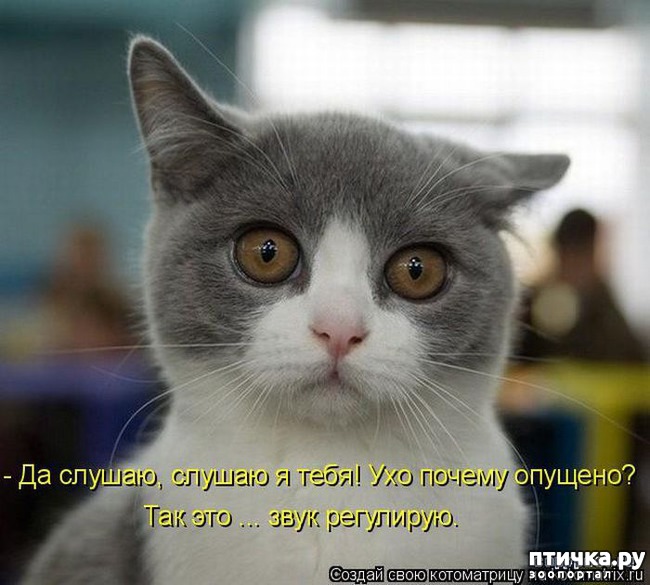 ���� 18: �����������: ������ ���!