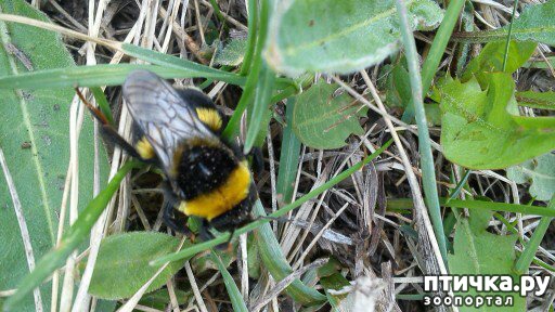 ���� 1: ������� ����������