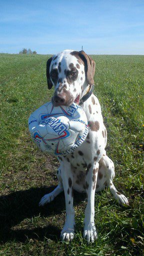 ���� 2: ������� ����������