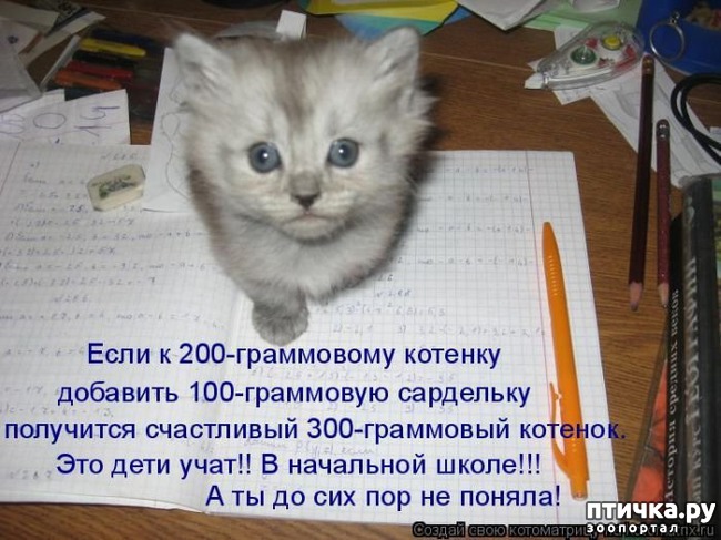 ���� 1: �����������: ������ ���!