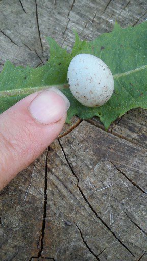 ���� 3: ������� ����������