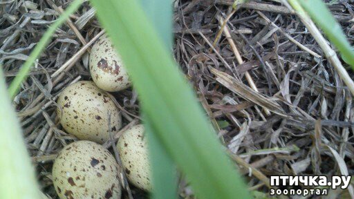 ���� 4: ������� ����������