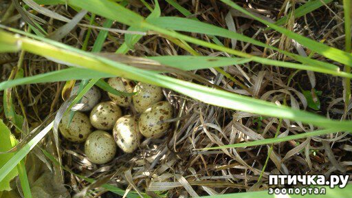 ���� 5: ������� ����������