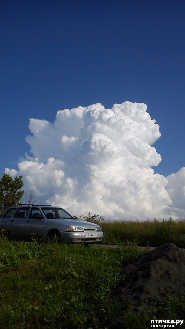 ���� 7: ������� ����������