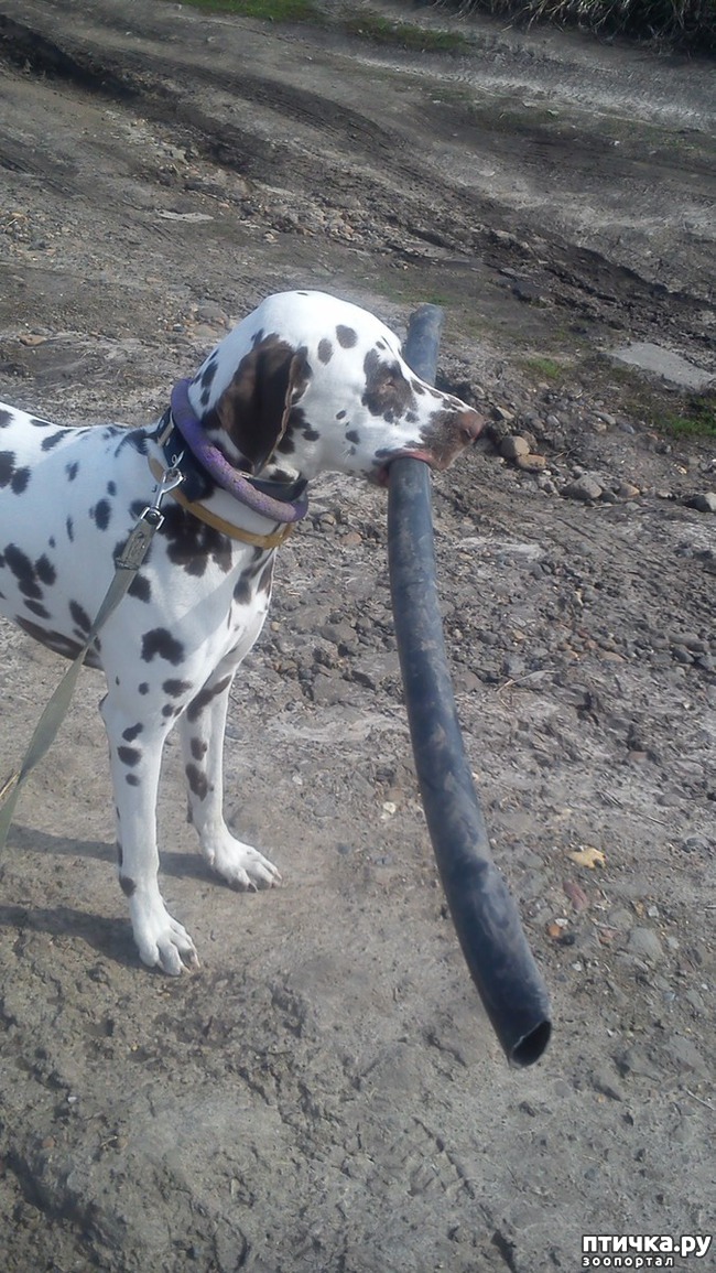 ���� 8: ������� ����������