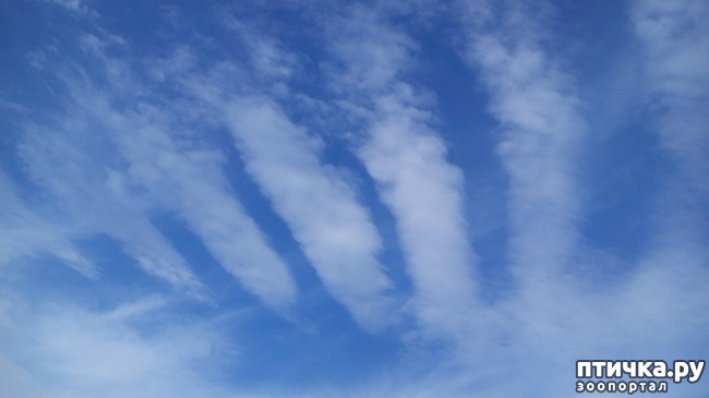 ���� 9: ������� ����������