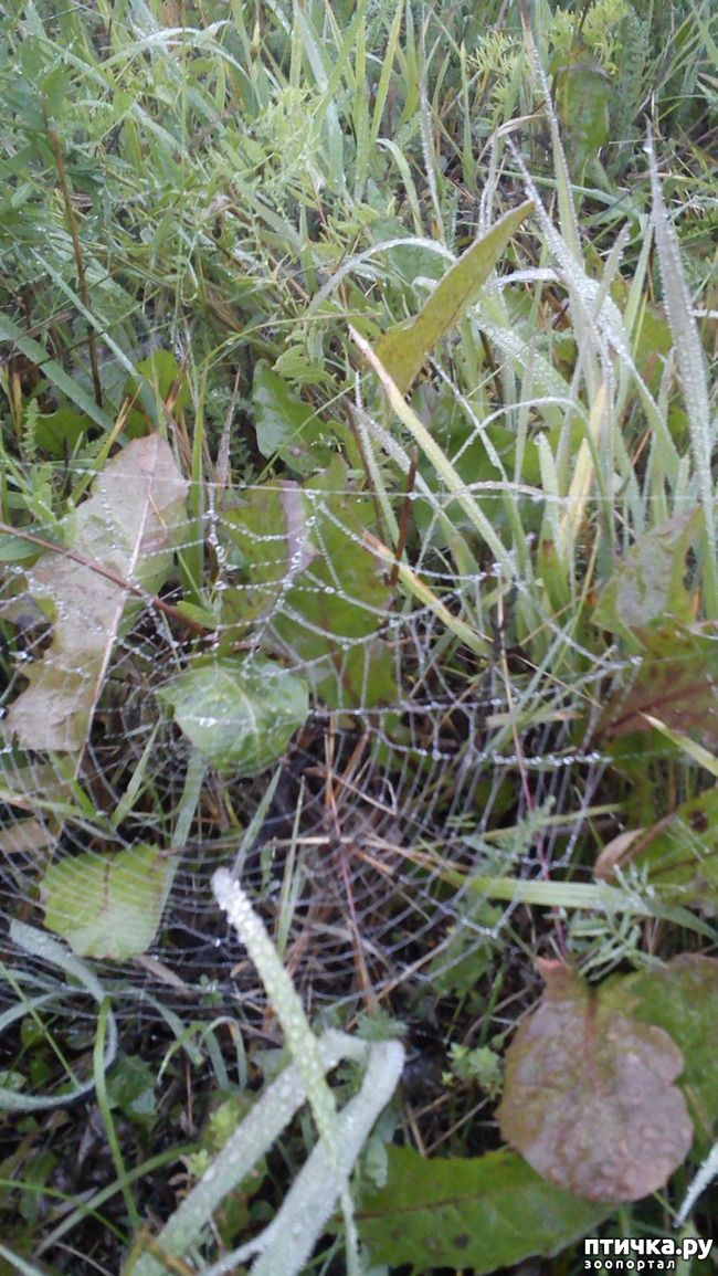 ���� 10: ������� ����������