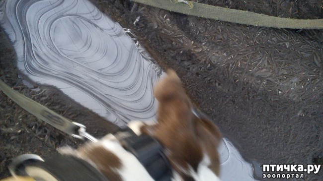 ���� 11: ������� ����������