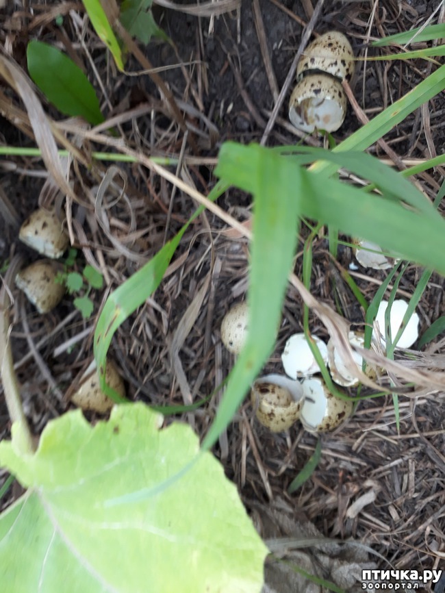 ���� 6: ������� ����������