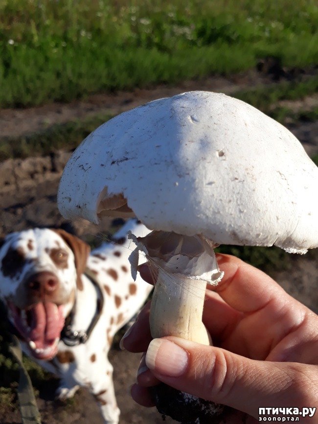 ���� 12: ������� ����������