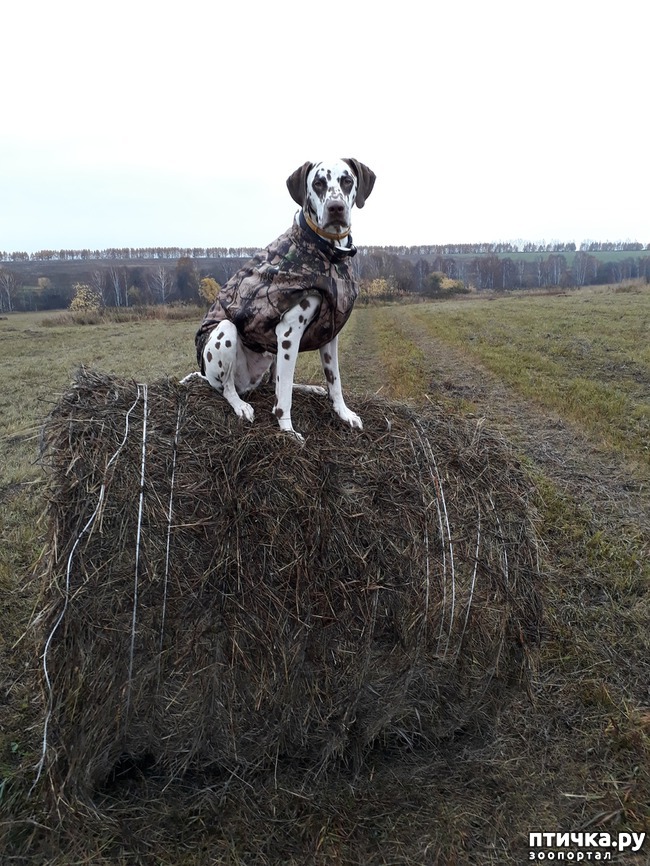 ���� 13: ������� ����������